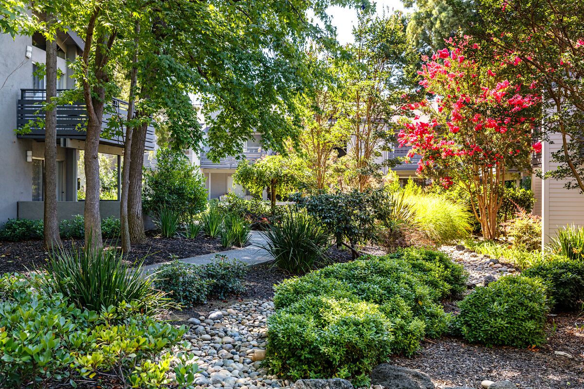 Shadowbrook 6 of 7