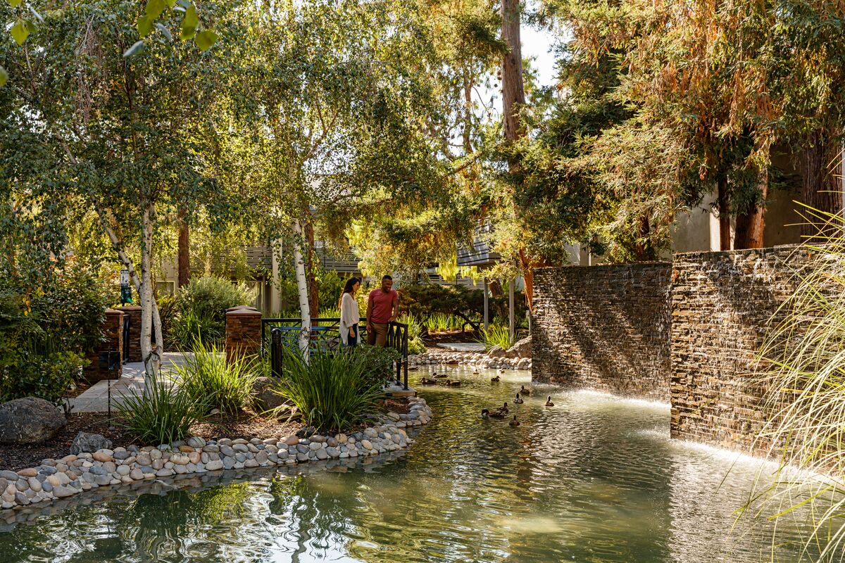 Shadowbrook 2 of 7